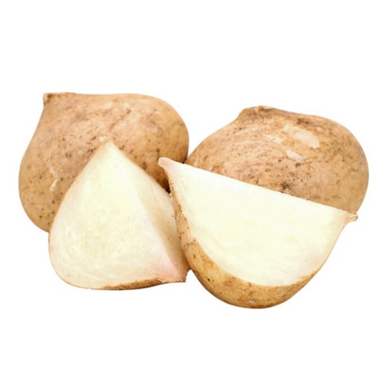 Củ đậu